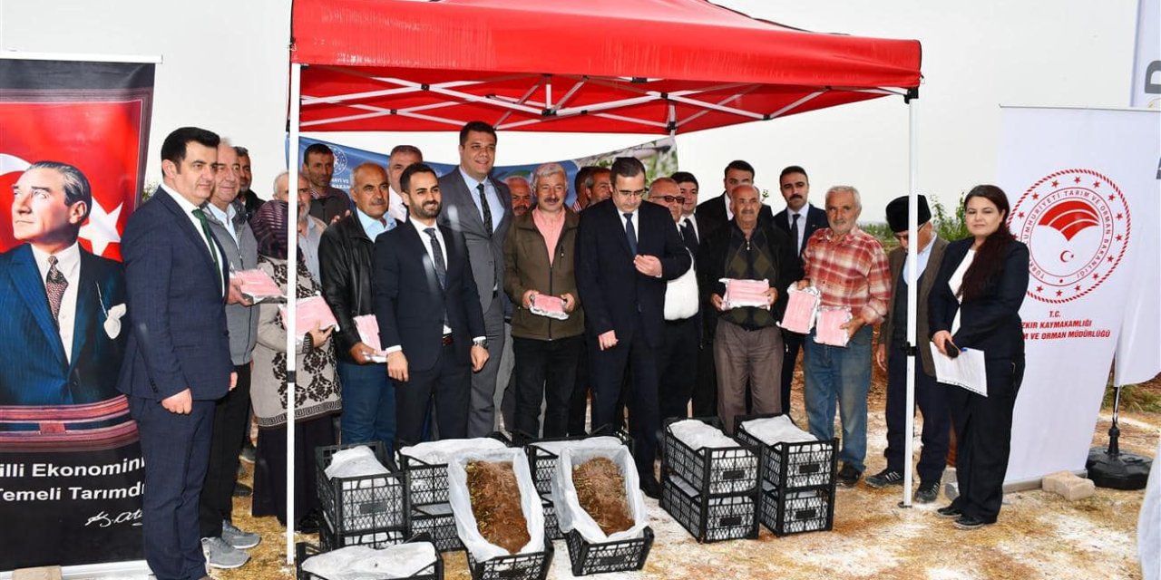 Konya’da üreticilere 34 bin çilek fidesi dağıtıldı