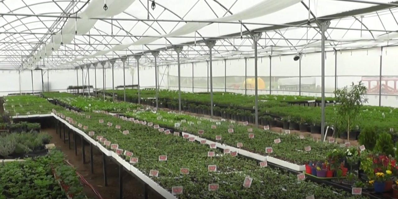 Konyalı öğrenciler tarımın izinde! 515 metrekarelik serada sebze fidesi üretiyorlar