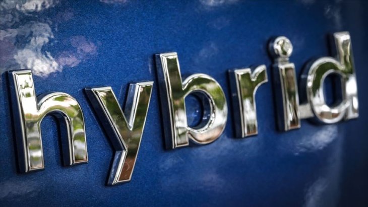 Sayısı giderek artıyor! Bir yılda üçe katlandı