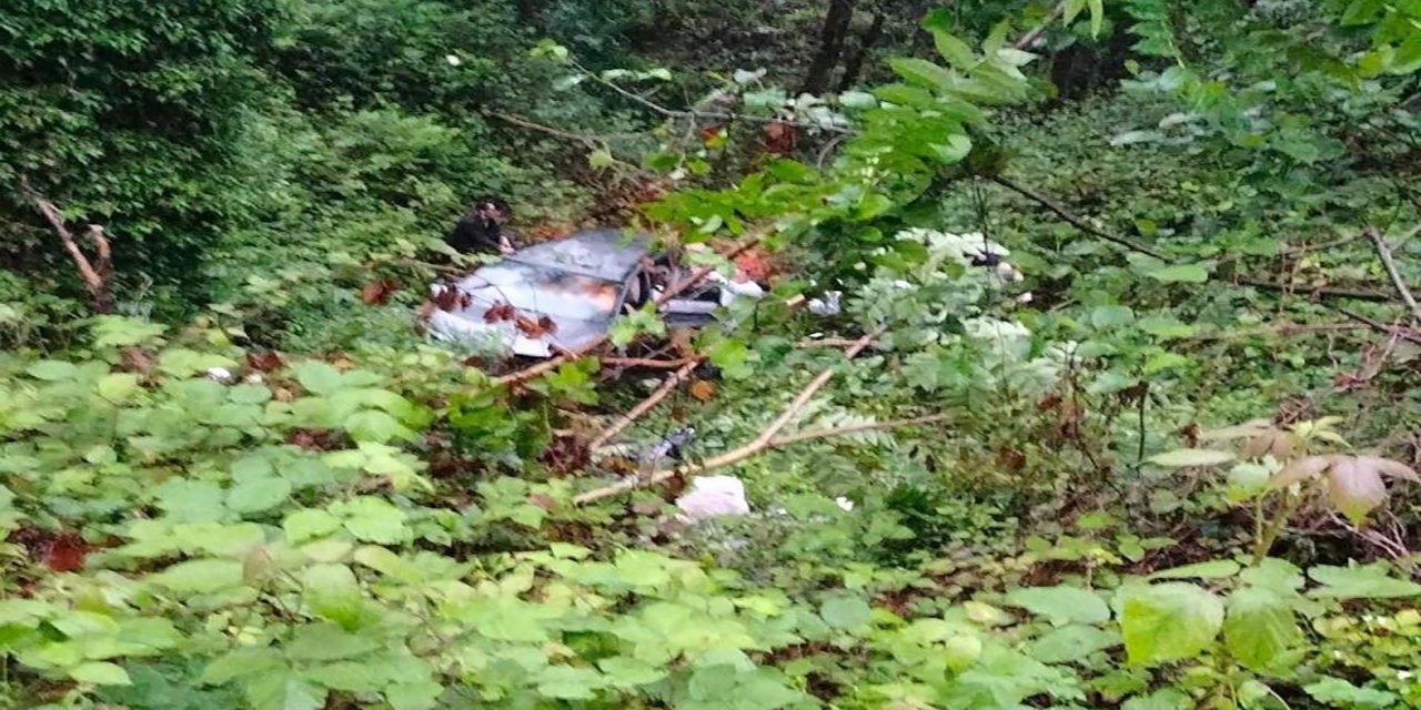 Gelin arabası şarampole uçtu: 5 kişi yaralandı