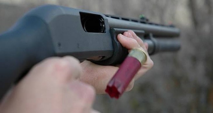 Komşusunun kuşunu tüfekle öldürdü, gözaltına alındı