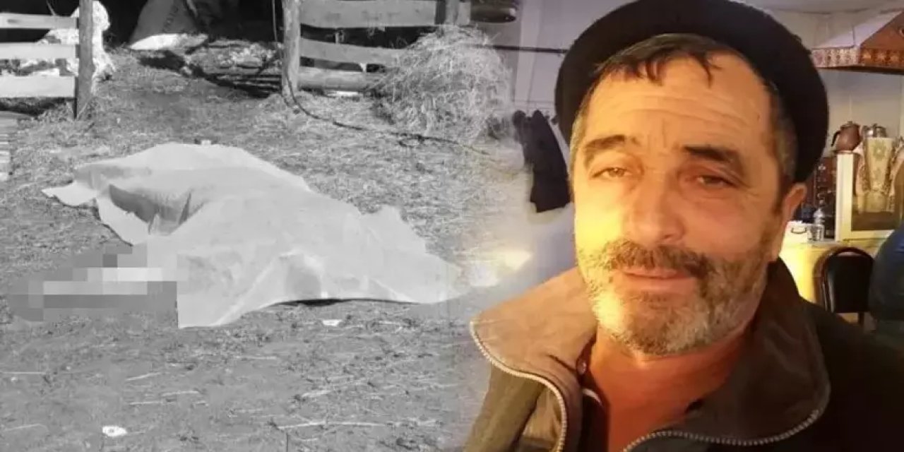 Koyun kırkarken hayatını kaybetti