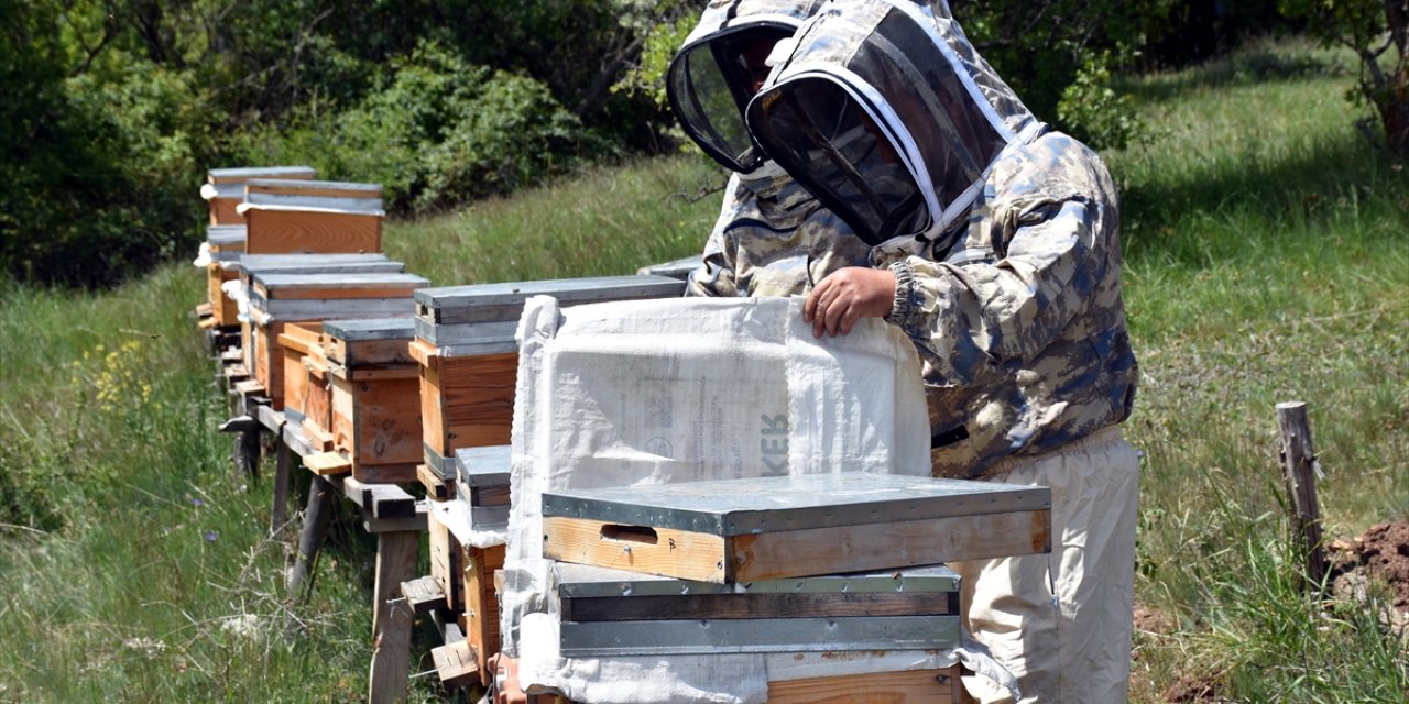 KOP desteği ile Dinek Dağı’nda organik bal üretiyorlar