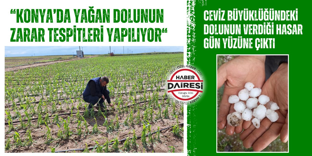 Konya’da dolu zararı çok büyük: Sadece 1 ilçede 15 bin dekar!