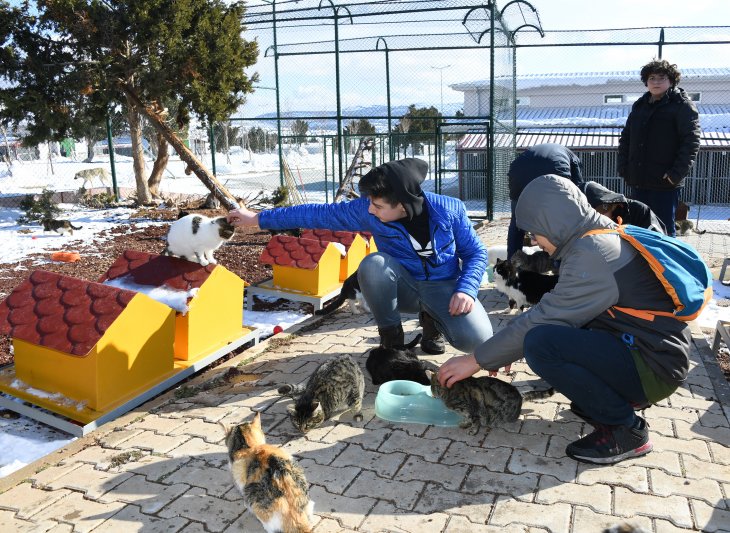 Konya'da öğrenciler harçlıklarıyla kedi ve köpekler için mama aldı