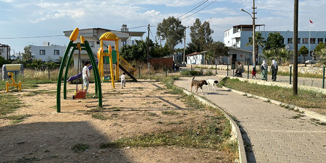 Köpeğin saldırısında yaralanan 7 yaşındaki Duru evden çıkmak istemiyor