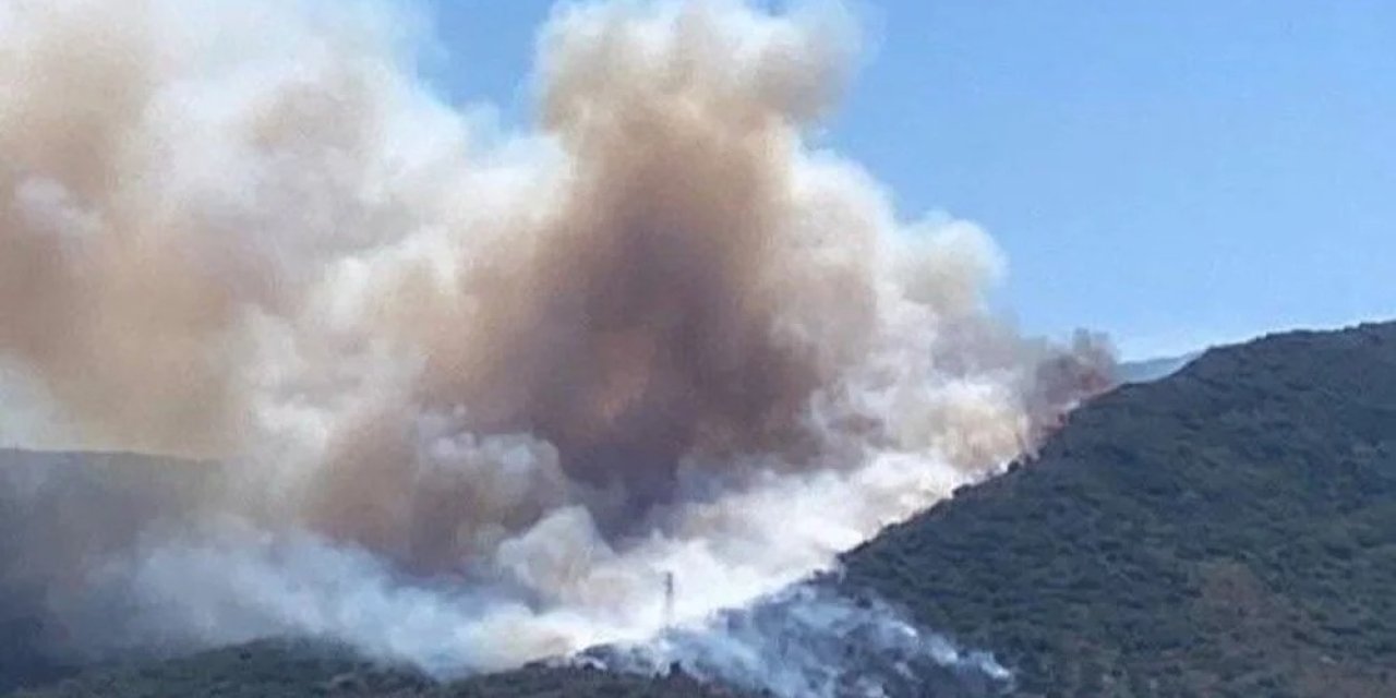 İzmir’de orman yangını çıktı