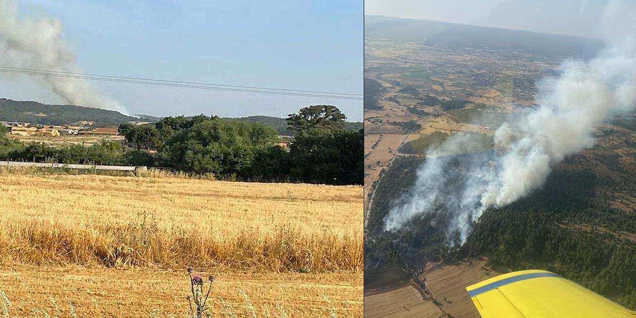 Orman yangınında 5 hektar alan zarar gördü