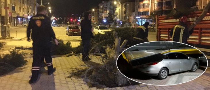 Konya'da fırtına! Ağaç kökünden söküldü, sac parçası otomobillerin üzerine düştü