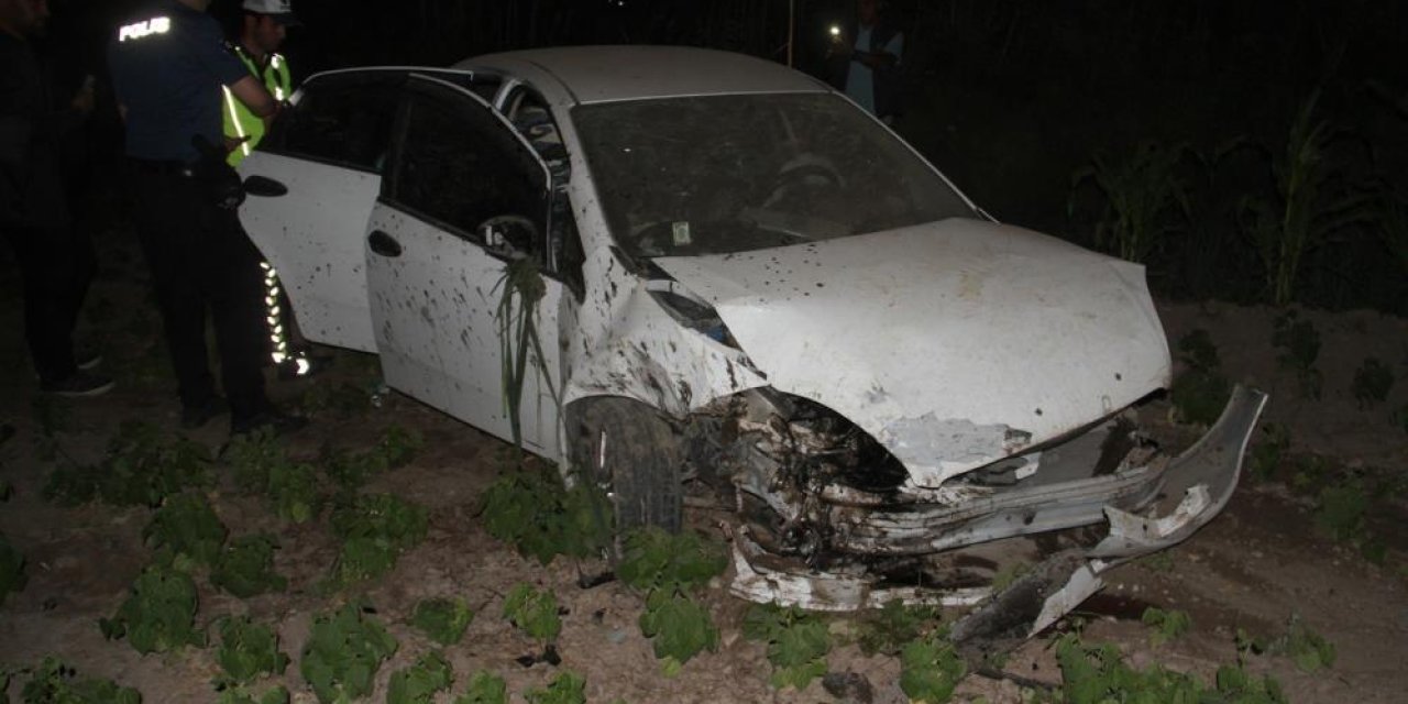 Konya’da ağaca çarpan otomobil sebze bahçesine girdi