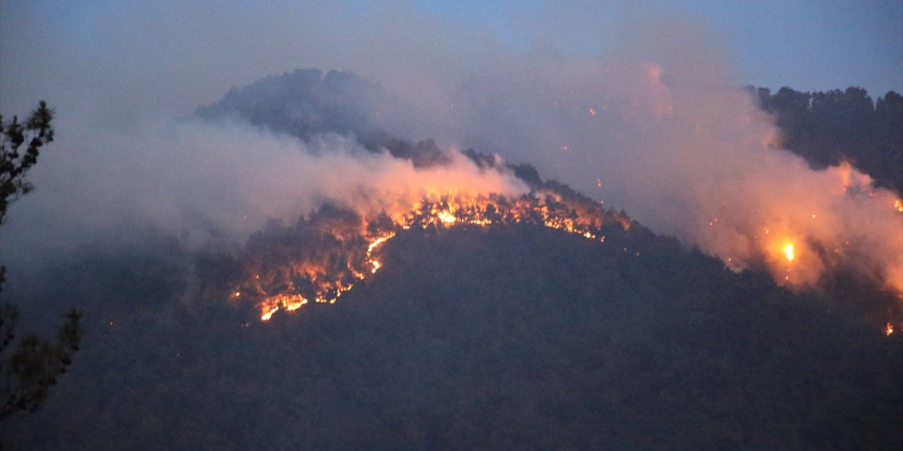 Orman yangını 22 saat sonra kontrol altına alındı