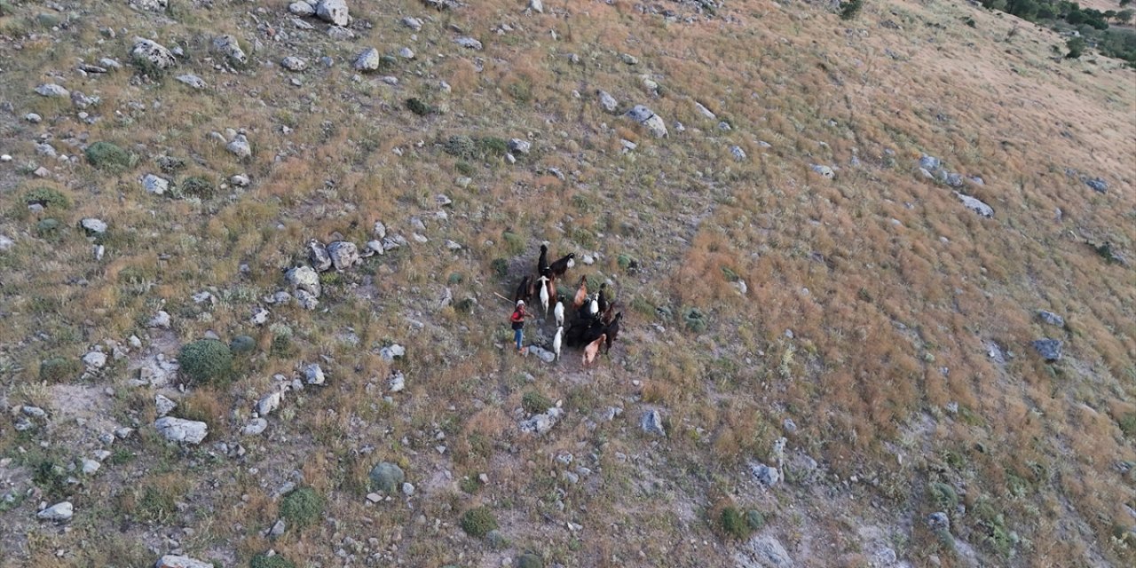 Konya’da kaybolan keçiler dronla bulundu