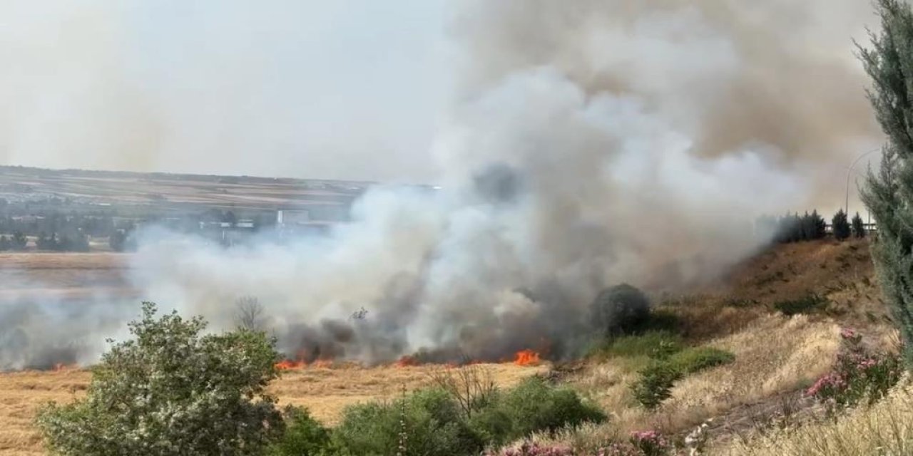 300 dönümlük arazide yangın! Çiftçinin bir yıllık emeği kül oldu