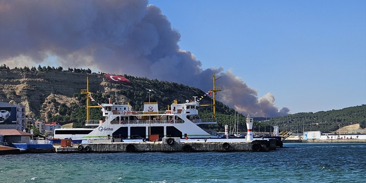 Orman yangını çıktı, gemi trafiği tek yönlü askıya alındı