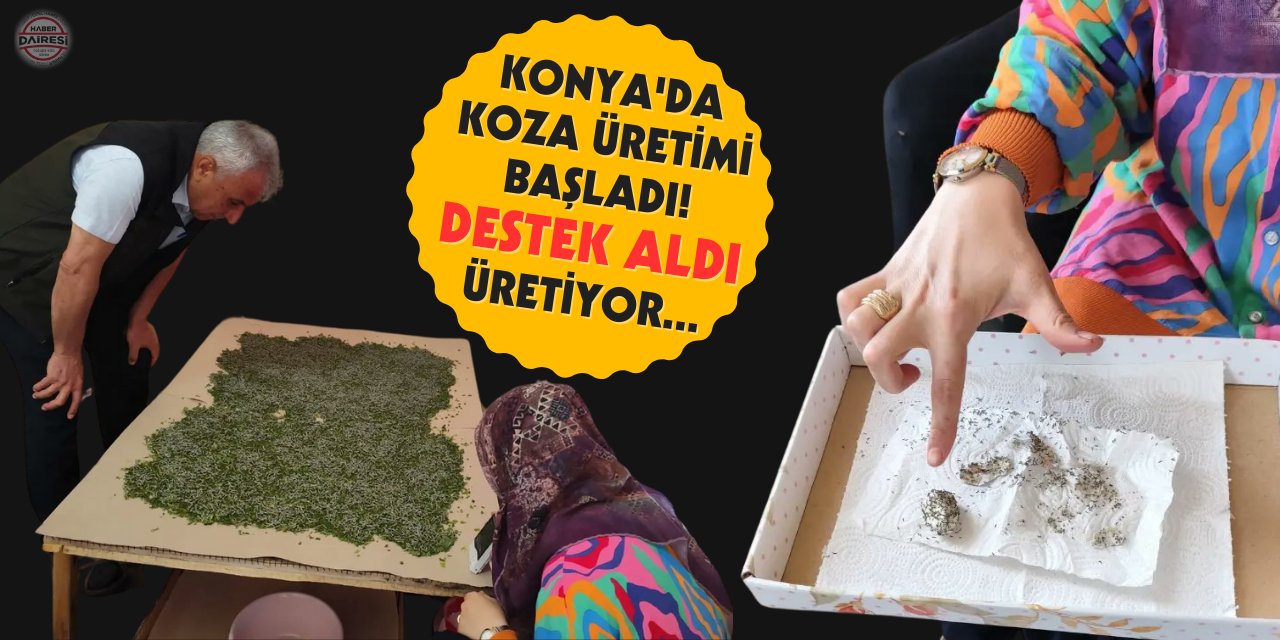 Destek aldı, Konya'da üretime başladı