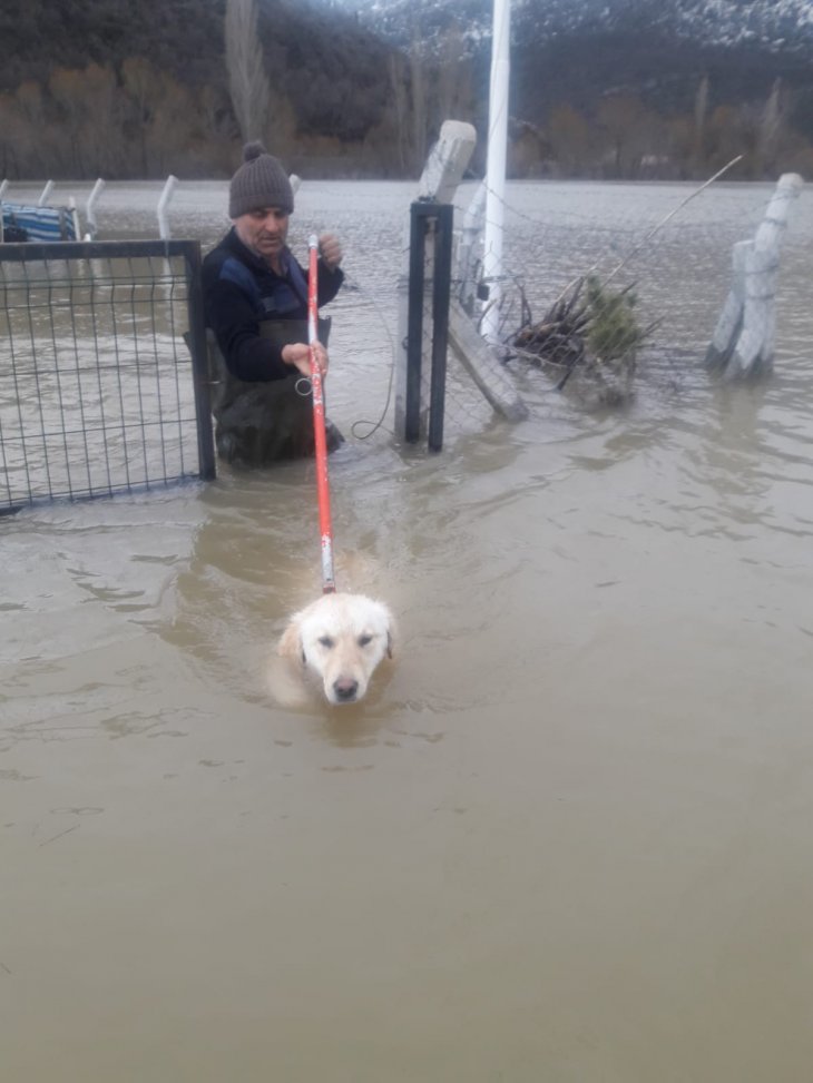 Konya’da sel sularında mahsur kalan köpeği belediye ekipleri kurtardı