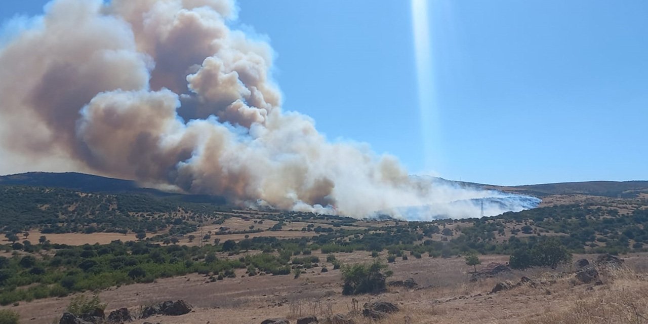 Korkutan yangın! Bir mahalle tahliye edildi