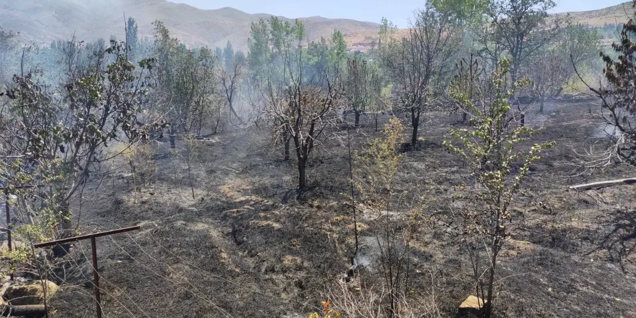 Konya’da 20 dönümlük ağaçlık alanda yangın