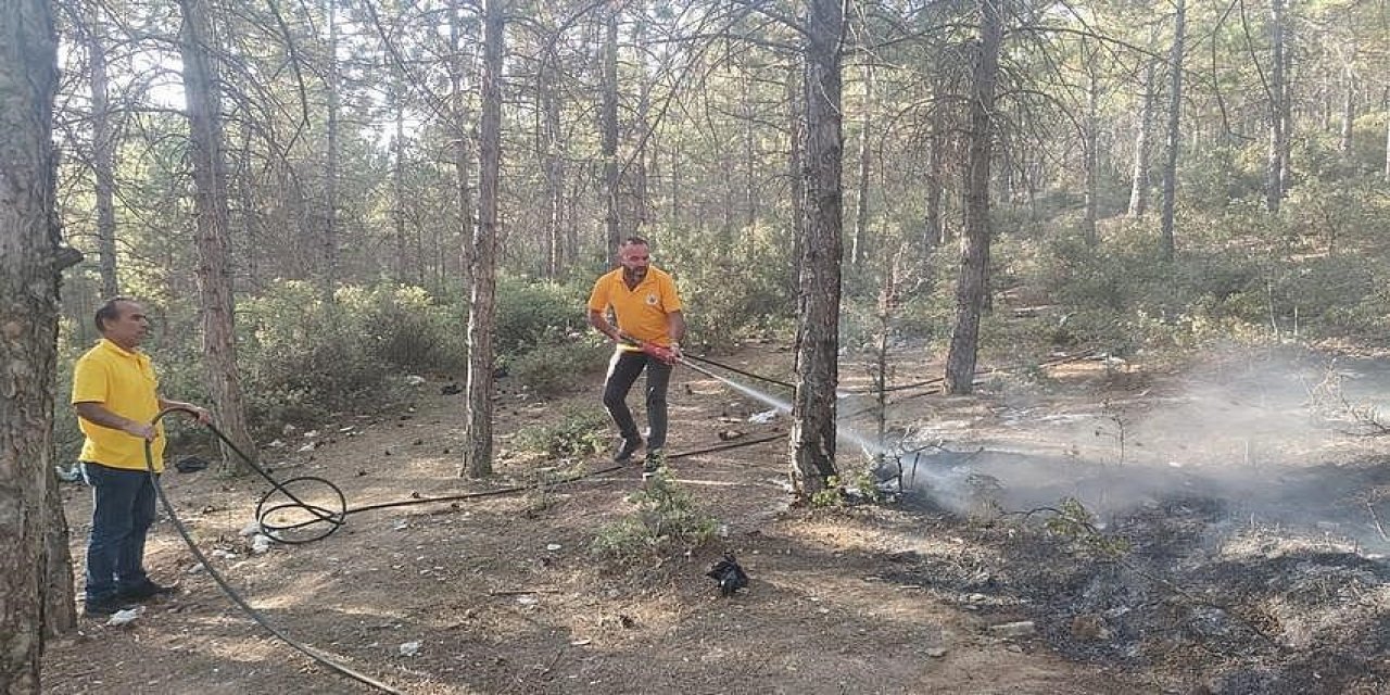 Konya’da orman yangını çıktı