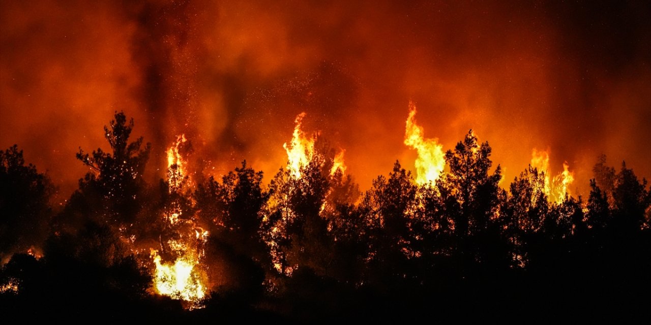 İzmir'deki orman yangınlarının çıkış sebebi belli oldu