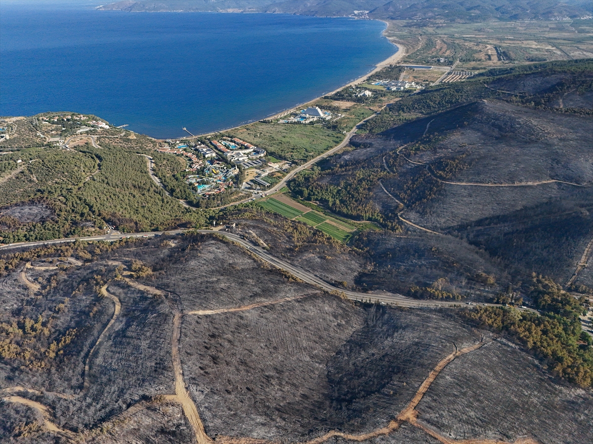 İzmir’deki orman yangınları kontrol altına alındı