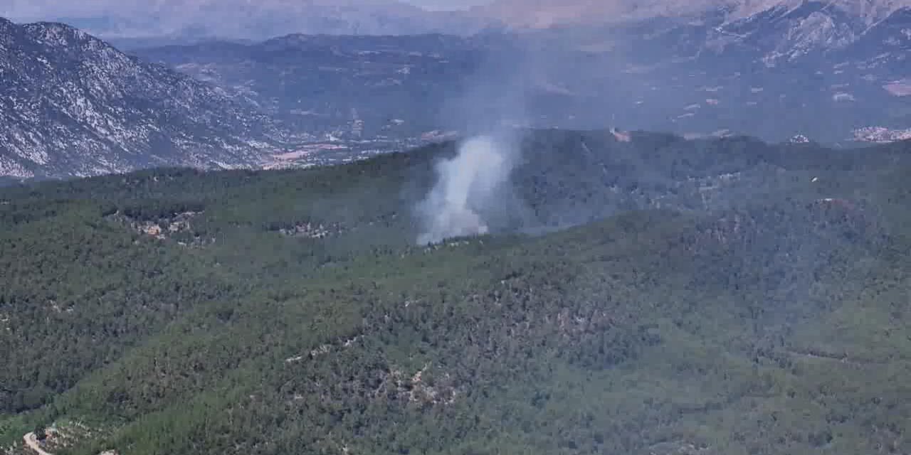 Görevlilere kızan çoban ormanı ateşe vermiş