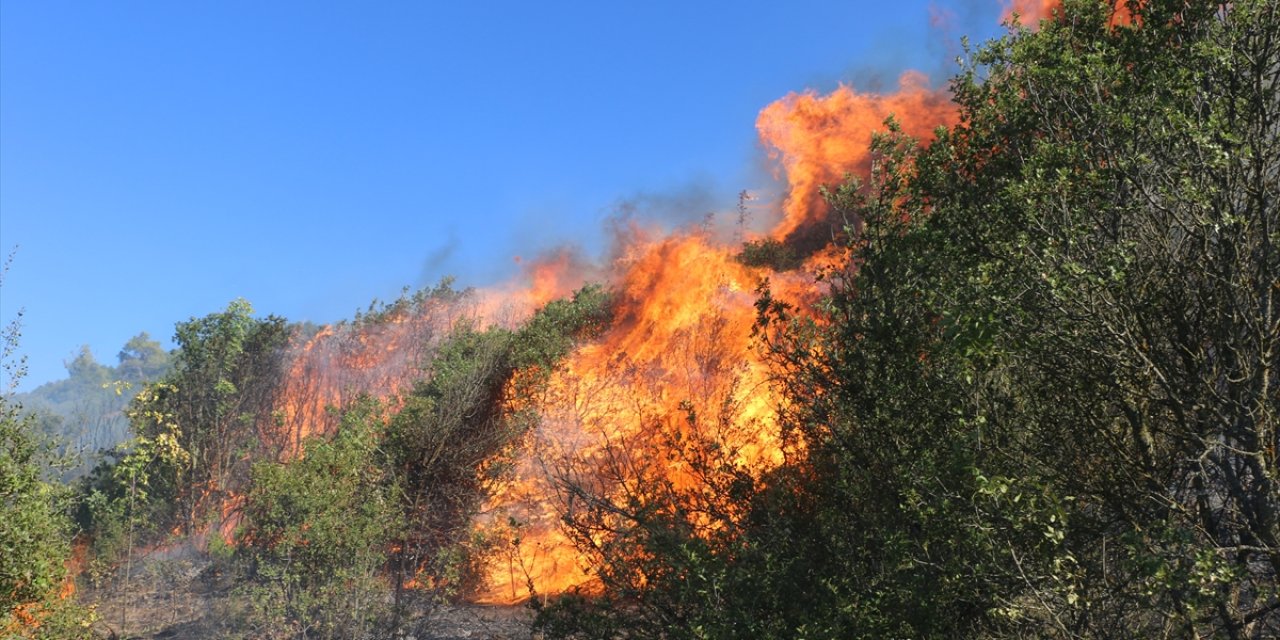 Manisa’daki orman yangını söndürüldü