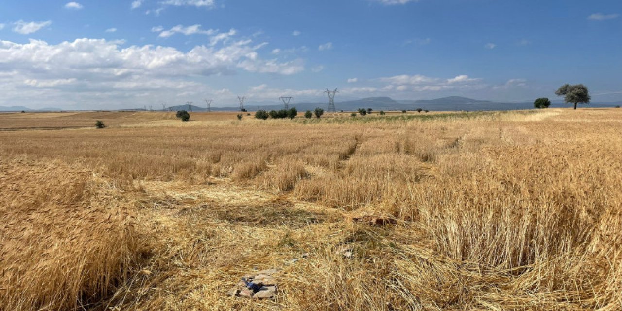 Konya’da tarlasını o halde gören çiftçi soluğu jandarmada aldı