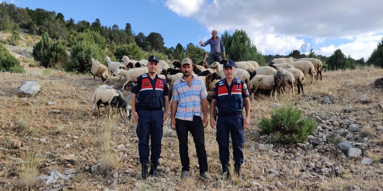 Konya’da jandarma kayıp küçükbaş hayvanları drone ile buldu