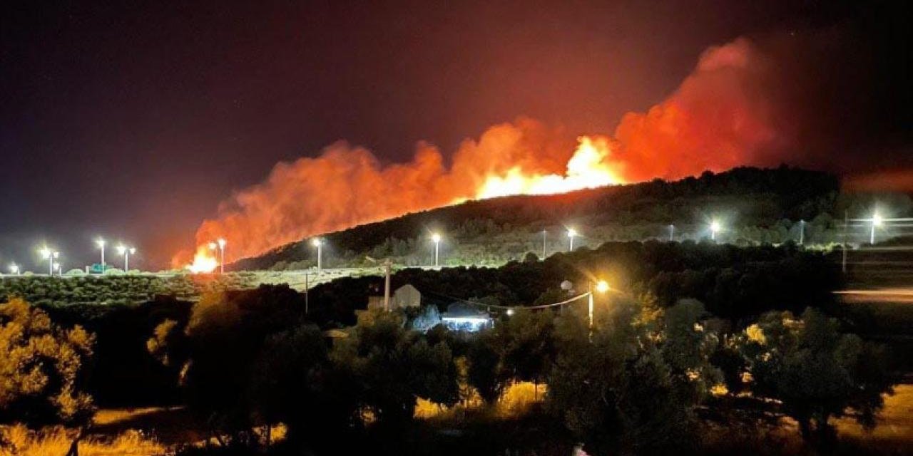 İzmir'deki orman yangını kontrol altına alındı