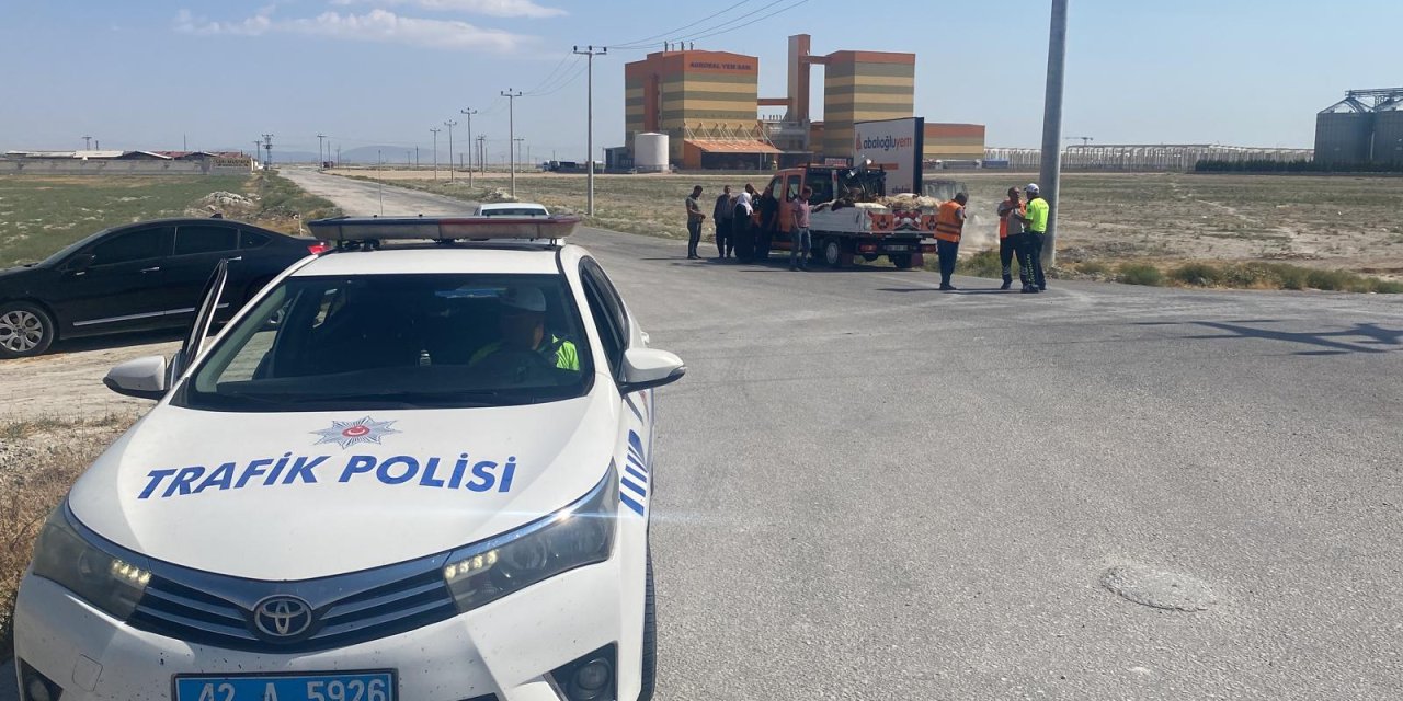 Konya’da sokak köpeği dehşeti! 28 küçükbaş hayvan telef oldu