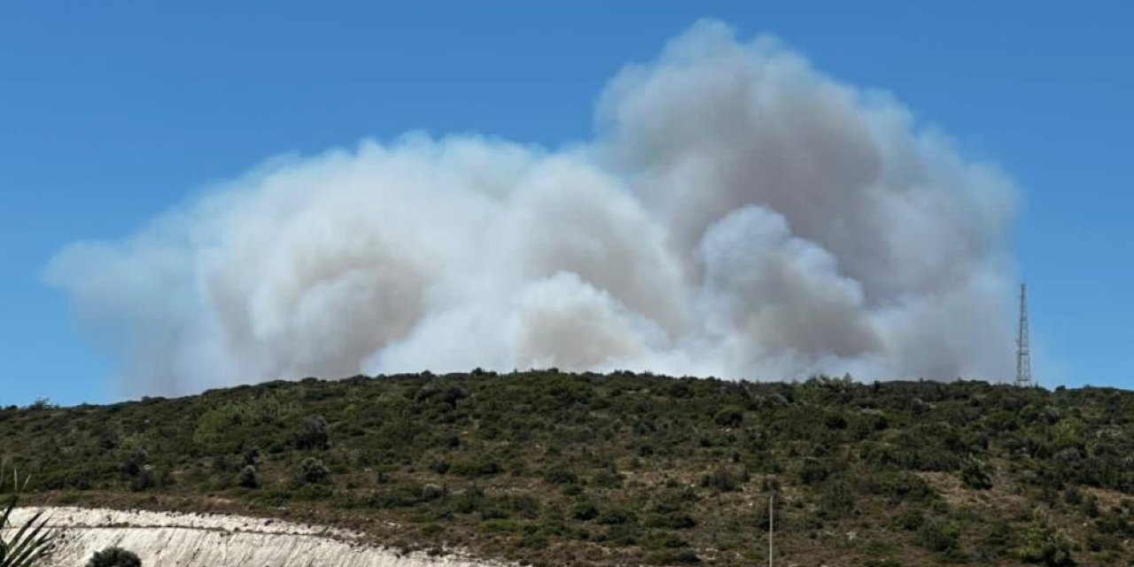 Çeşme'deki orman yangınında 3 kişi öldü