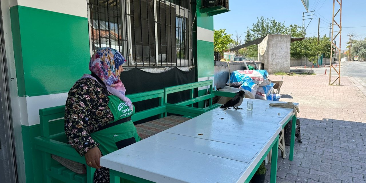 Konya’da ayağı kırık karga tandırcı dükkanına sığındı