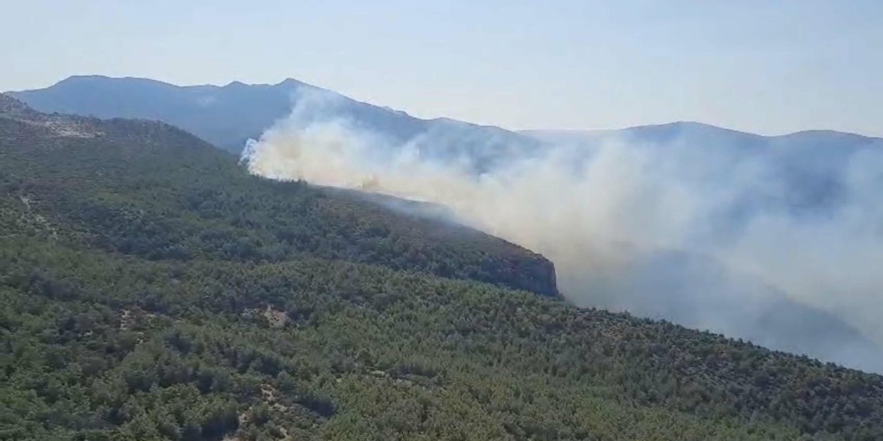 Turizm bölgesinde orman yangını çıktı