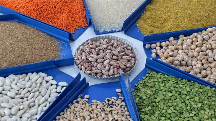 Nohut ve mercimek üretimi rekor seviyelere çıktı