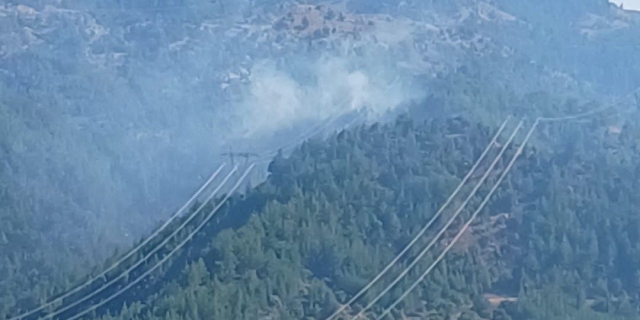 Adana'da yangın söndürme helikopteri düştü