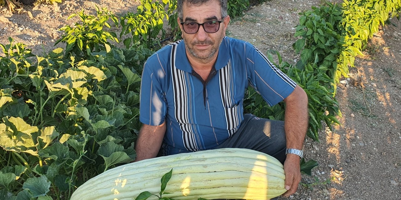 Uzunluğunu ve ağırlığını görünce üreticisi de şaşırdı