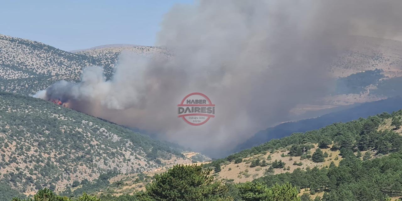 Konya'da ormanlık alanda yangın çıktı! Çok sayıda ekip müdahale ediyor