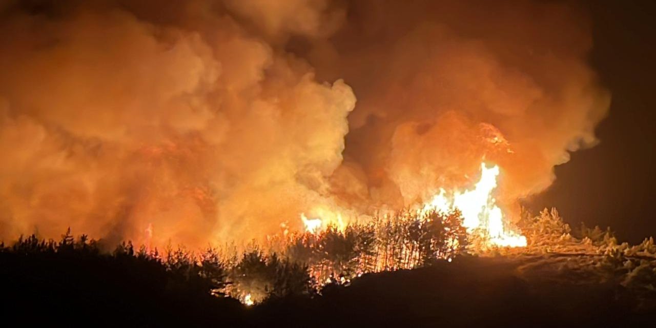 Muğla'daki yangınlarla ilgili 3 kişi gözaltına alındı