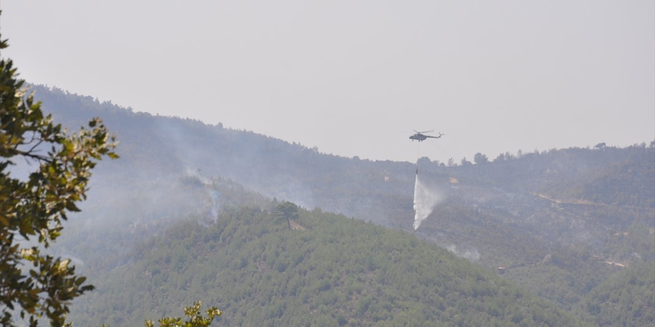 Manisa, Uşak ve Muğla'daki orman yangınları söndürüldü