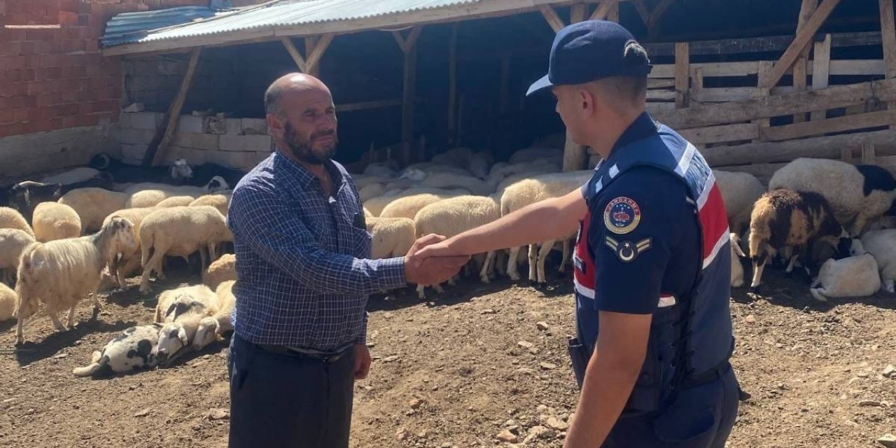 Konya’nın 2 ilçesinde kayıp küçükbaş hayvanları jandarma buldu