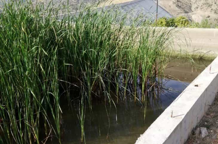 Konya’da sulama havuzunda ceset bulundu