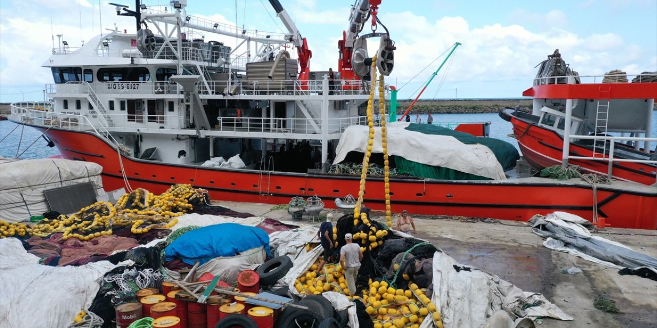 Av yasağı sona eriyor: Bu sene palamut bol olacak