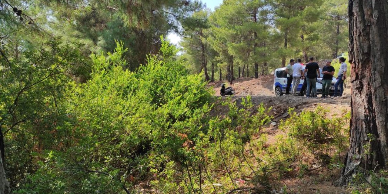 Yeni doğmuş bebek ormana terk edildi