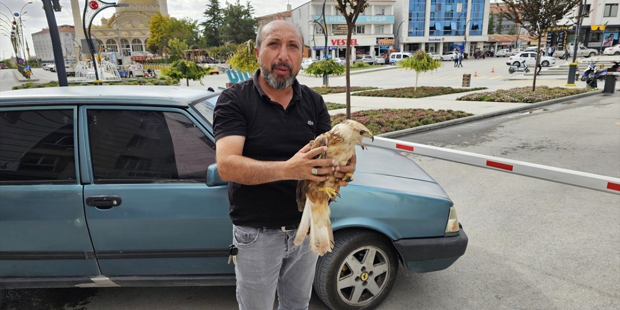 Konya'da şahinin o haline gördü, yaptığıyla takdir topladı