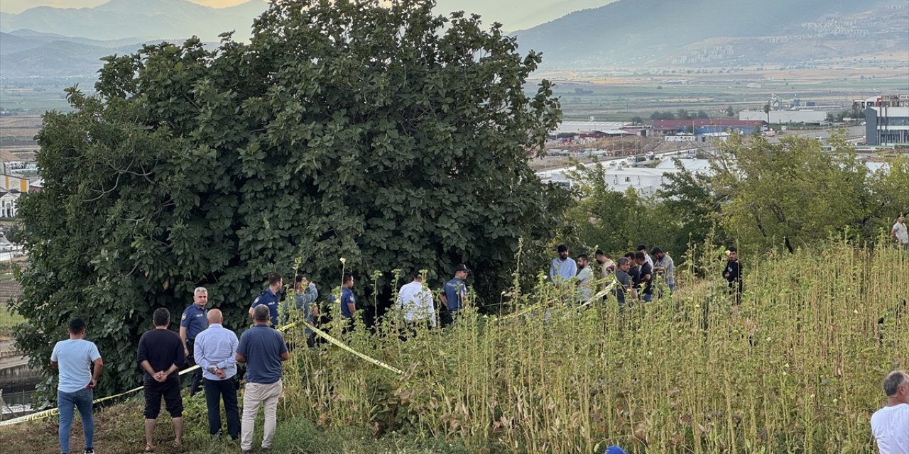 Üzerine yıldırım düşen çoban, keçileriyle birlikte öldü