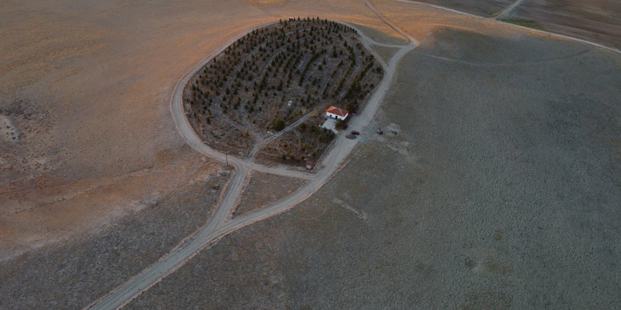 Makas kesme parasıyla ağaç aldı, Konya’da bozkırı ormana çevirdi