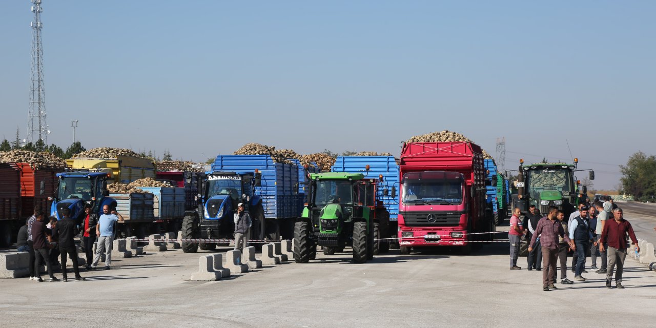 Türkiye devi Konya'da şeker pancarı alımına başladı