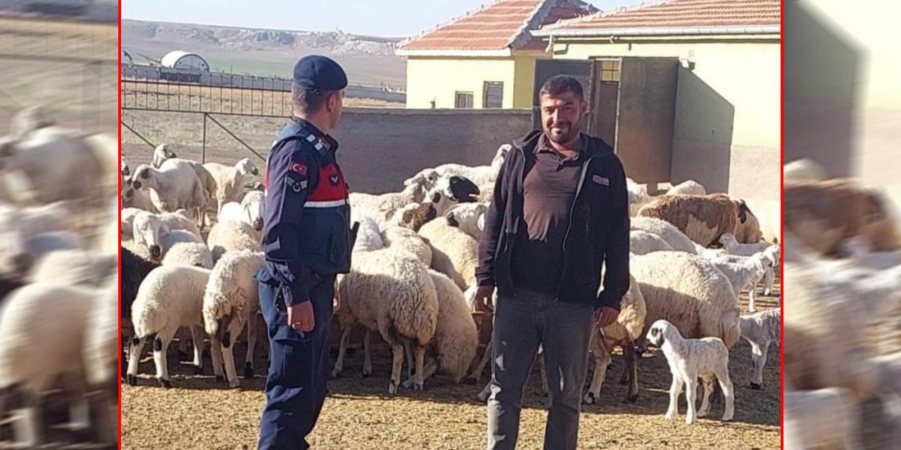 Konya’da jandarma kayıp sürüyü böyle buldu