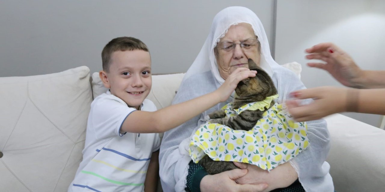 Bebek gibi baktığı kedisiyle 82 yaşında fenomen oldu